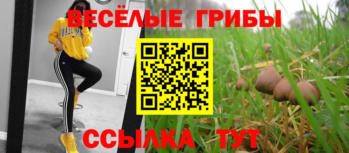 купить наркоту  Псилоцибиновые грибы Cubensis  Вход с VPN  Чистополь  Галлюциногенные грибы ЛСД 