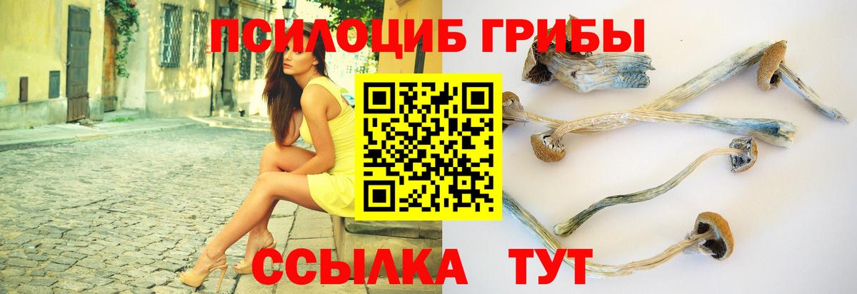 Псилоцибиновые грибы Magic Shrooms Чистополь